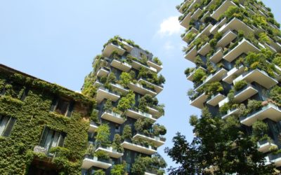 Ecco le case del futuro: un progetto per la sostenibilità